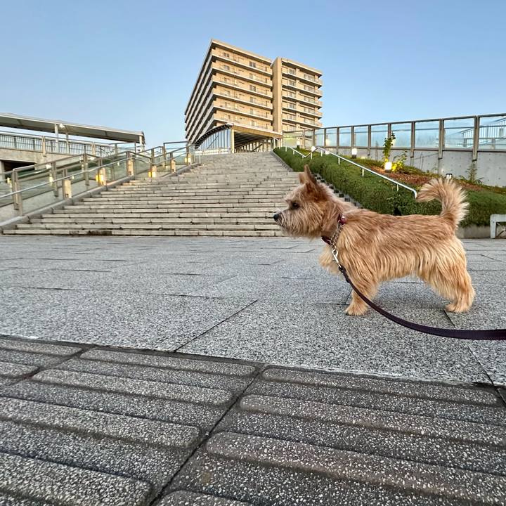 E782c5eb f99e 4bc6 9caf 2ed5c48fe6dd 1732539839788