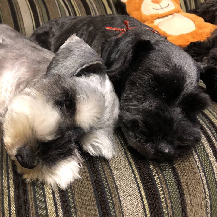 E782edb4 0e42 4ec9 8976 7452e2e4e403 1529930491484