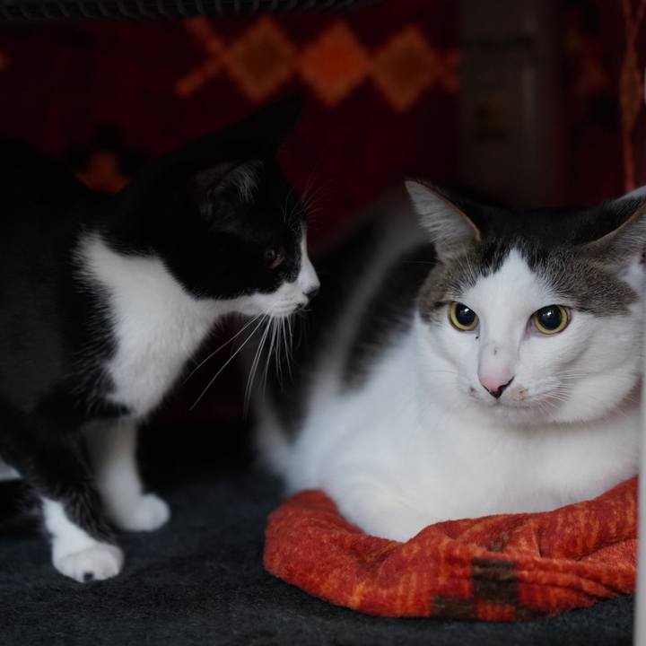 E782f91e 2a0b 43b0 bd5e 92b51daaedfb 1575935075558