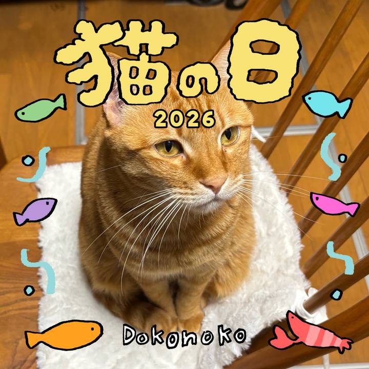 E7830b37 8653 4cf1 9895 90cbb725b4ad 1771767030834