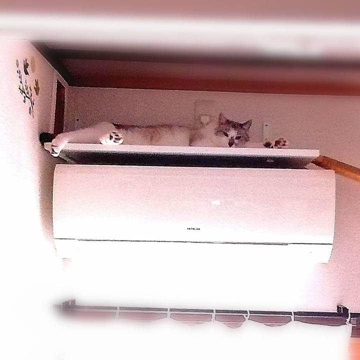 E783141f fe21 4d00 83c0 ea5797ee5517 1596946298503