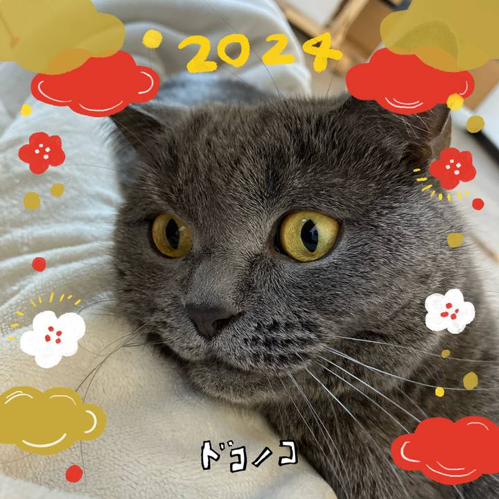 E783547d 7936 4aac b07e 7ad4e9959af8 1704153390001