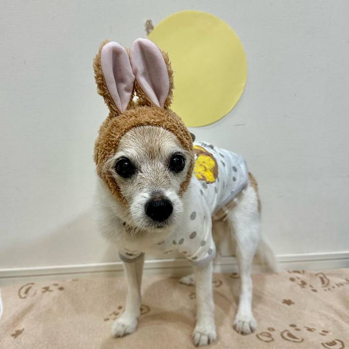 E78359d5 c993 4c8c 83ae 0e42947effc9 1759707601677