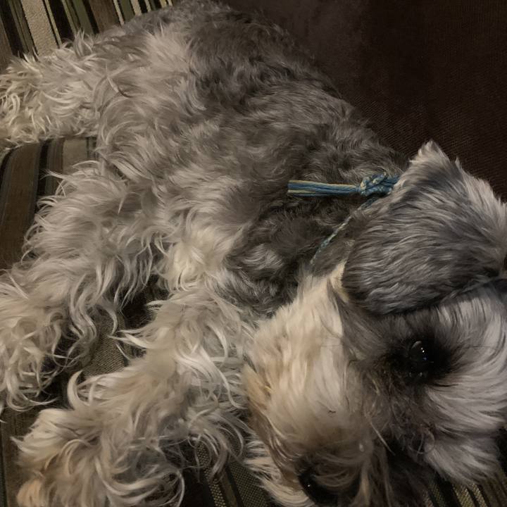 E7839e98 01c2 4f85 8a0e d57e07ed8359 1588338809773