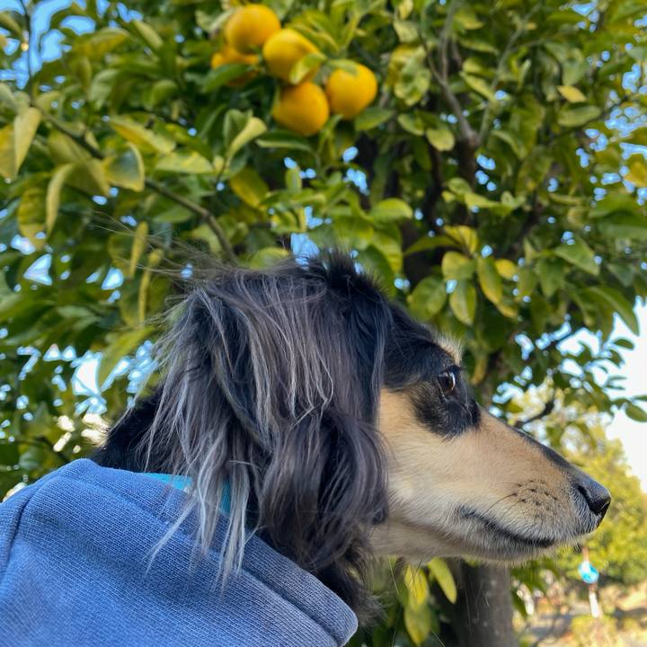 E783cc0d bb30 4417 ab2c bb38de645e71 1703419476970