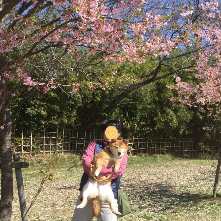 E783d5ae b3dd 4ef0 9ba8 40279cfaf4b6 1552540646961