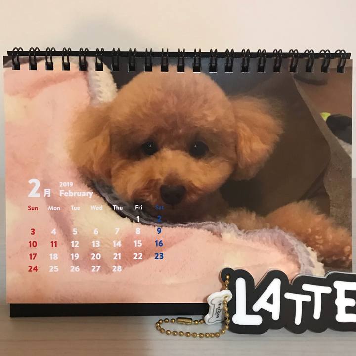 E783d9ee eb28 41cb 9f8f ec4c2df68e48 1549372877241