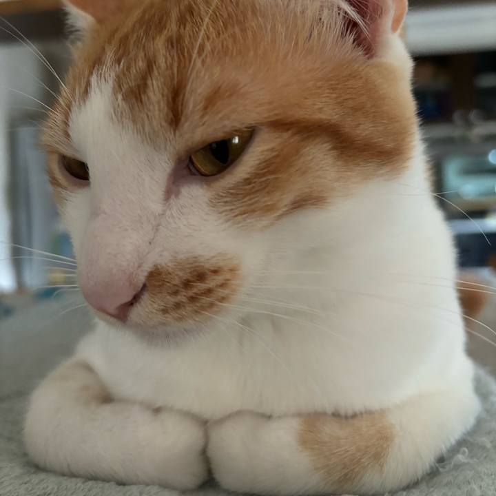 E783e382 dfde 4a0d a5cd 795733fd1b16 1719388898113