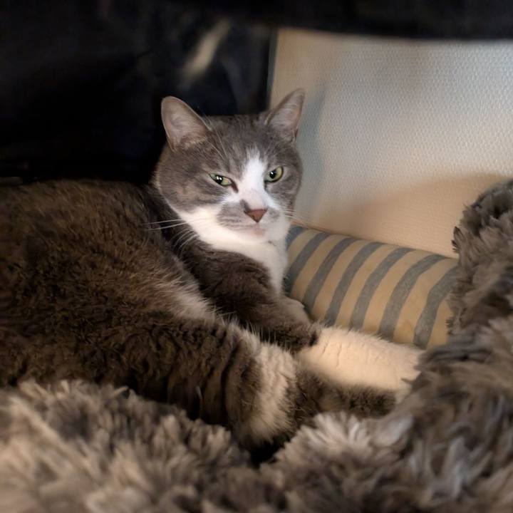 E783fa4f 688a 4278 a6e7 88b2382c4b36 1750898634303