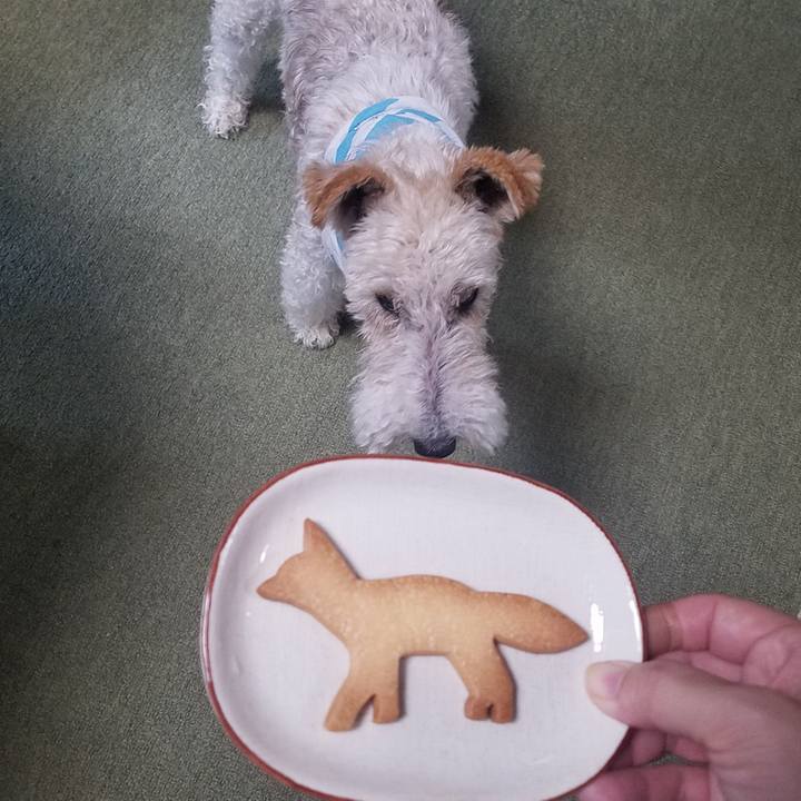 E784009c 80e7 464f b76c 2f600c790dcb 1593312901456