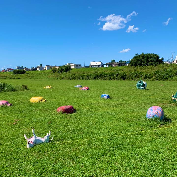 E78434a0 3e6e 49db 9106 8337287c74a2 1601787789120