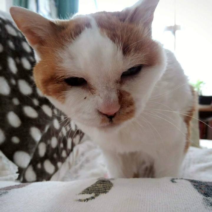 E7843527 9908 4c2e bbbf 8a3f0bc2824b 1637568013733