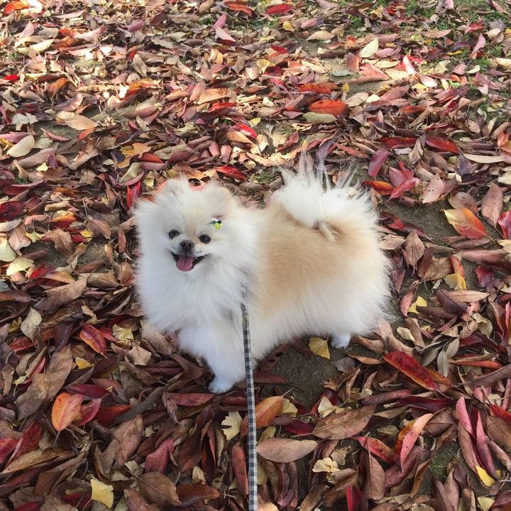 E7843def 1da6 4278 ae54 8d66f4dd35bd 1606098940710