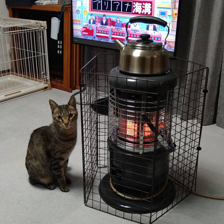 E784422a 0b3c 4e65 9a5f b0310a4717dd 1666605822565