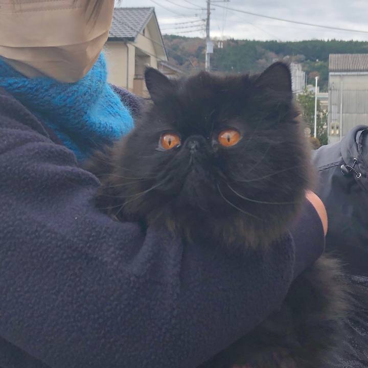 E784888a 1231 42f1 b418 46a464fde8cf 1638691006953