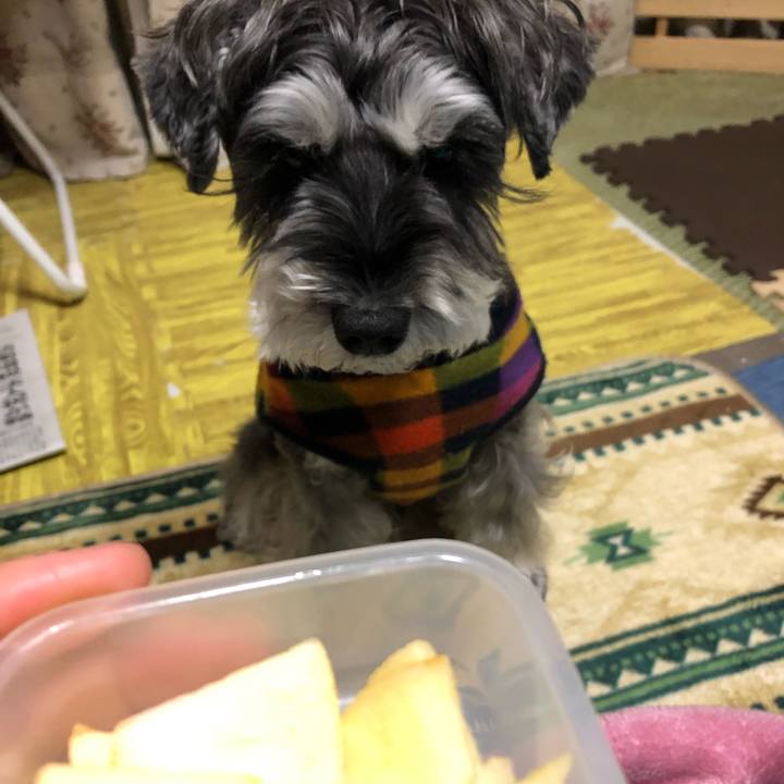 E784ce92 48bd 4d98 9d0f d94a492327da 1670589583044