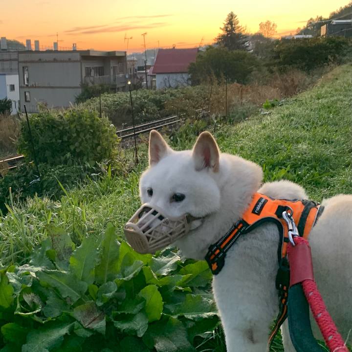 E7850b87 13e8 43df ac41 707f3c33d5d4 1665694300016