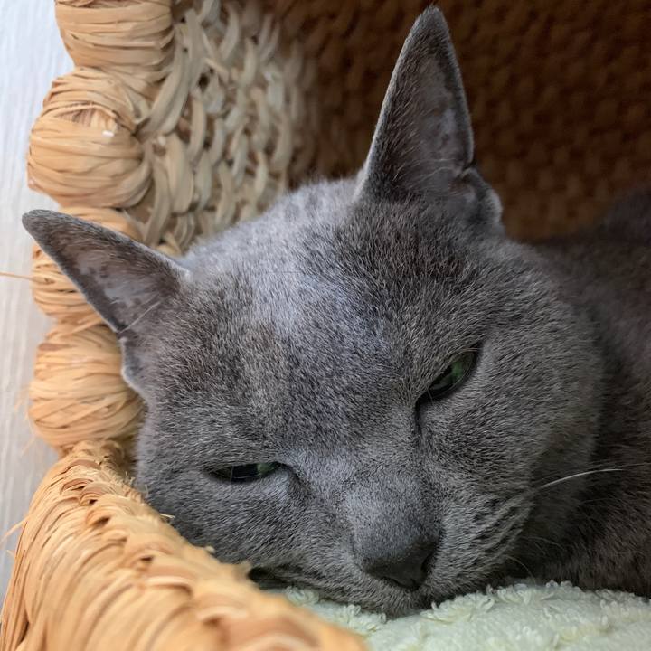 E785106d a474 40c6 ba5e f58dcac47078 1555832285946