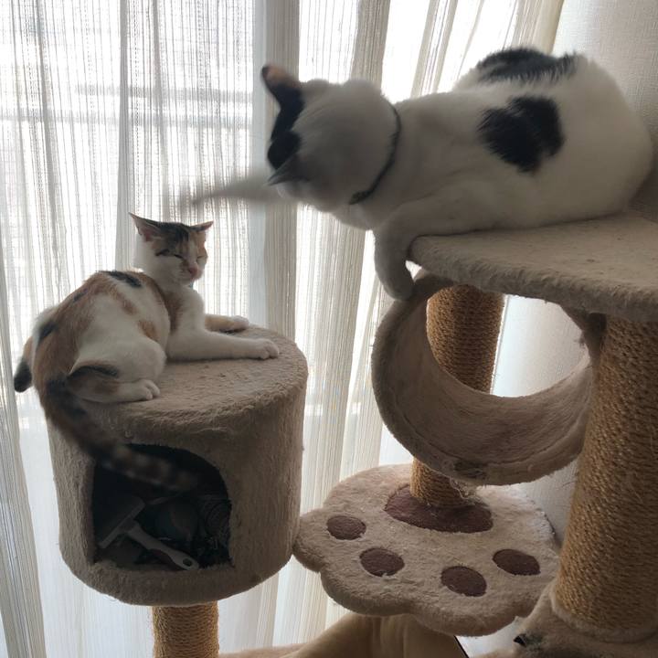 E78538ec 0e5c 4ab0 b89c 99240a522a35 1565311042244