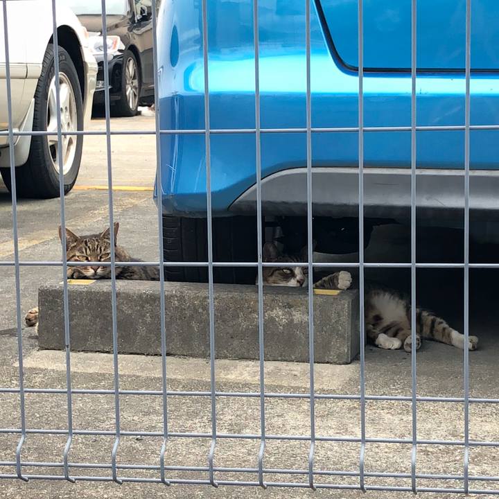 E7854018 03ae 46fa a2a3 5135fabe0341 1536655166316