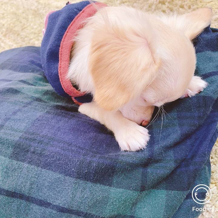 E785781a c6e6 4104 9d0c e6d0e83ca5cf 1598683782686