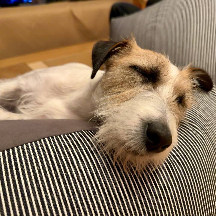 E7857e91 6cc6 4310 9125 f43d5be896cc 1715443654857