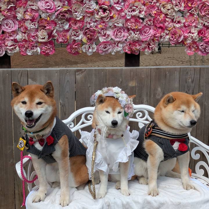 E7859a79 4e2c 4454 ad01 f62ed7e368df 1741618678510