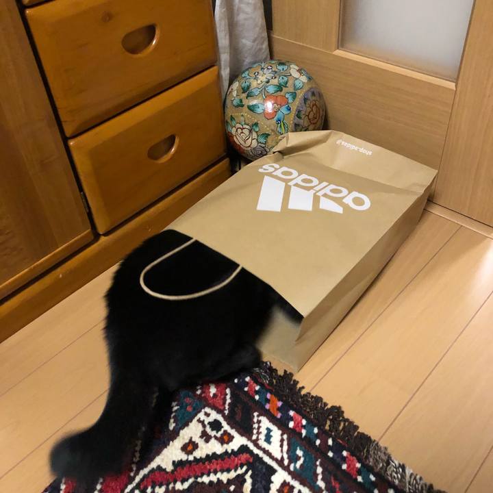 E785d904 0d8e 4b5d 88b4 d3a21a2ecbca 1578184935410