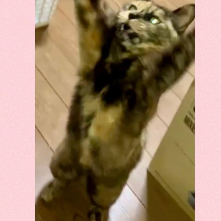 E7860504 93d1 45c8 b2ce 946d739e44ef 1741465400277