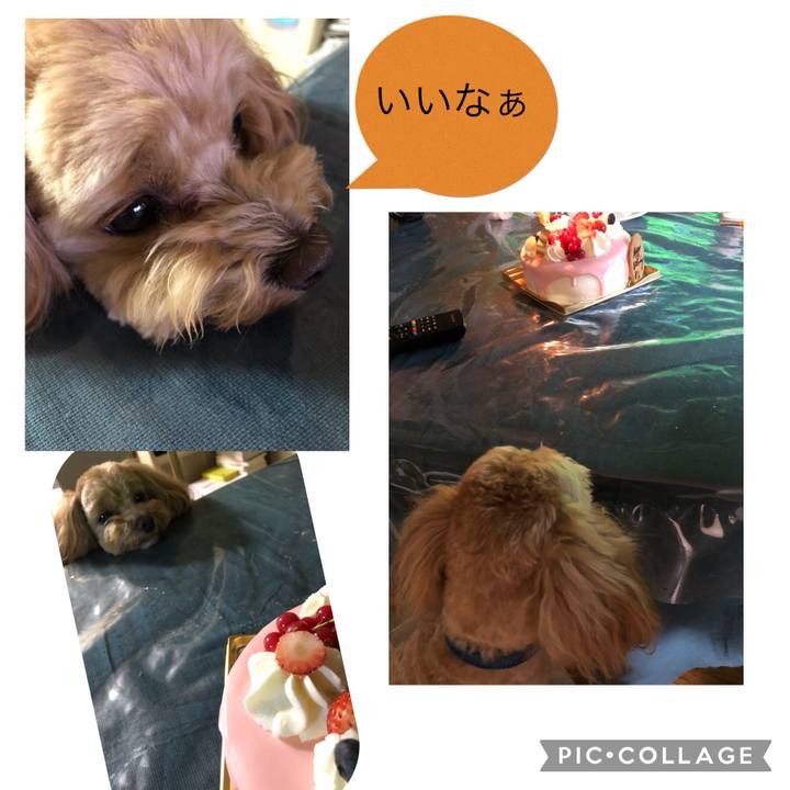 E78644a7 5dc1 4da5 9511 78ce576db85b 1649677139652