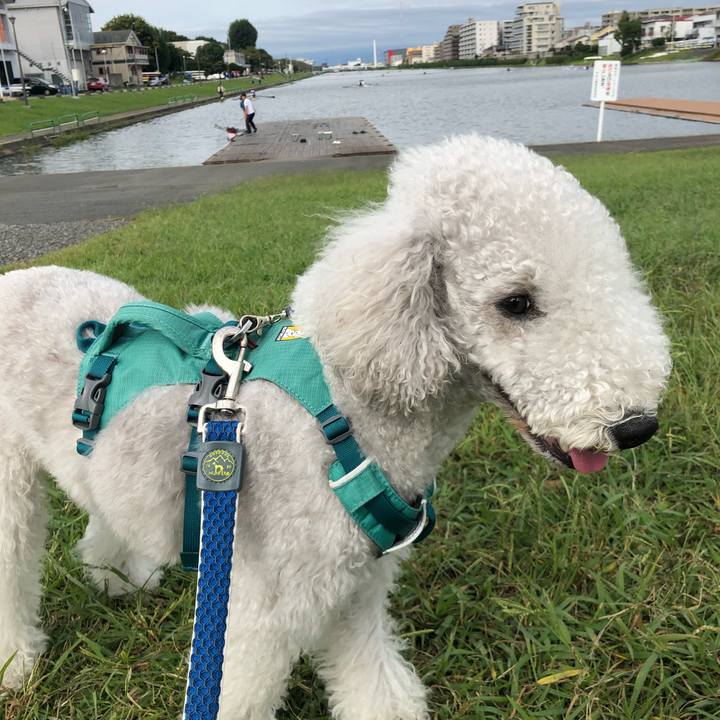 E7865bf7 88bf 4727 a4c5 a8289a3639cd 1665278909098