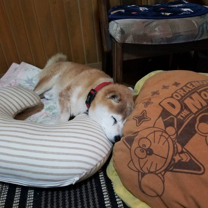 E78662fc b424 433a 8d7e 1f1cdbd9348a 1735973253183