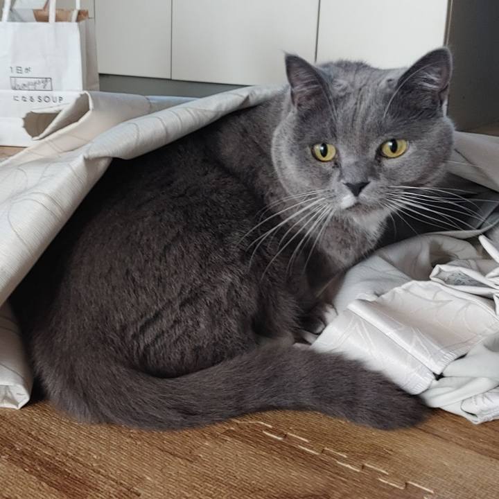 E786b4ea 5dfb 4424 9d39 24133e4a2a8e 1698962845483