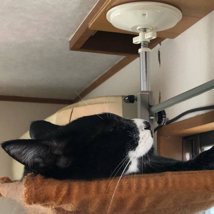 E78723ba 5f6f 4320 9939 65fbf5581a7d 1599795948251