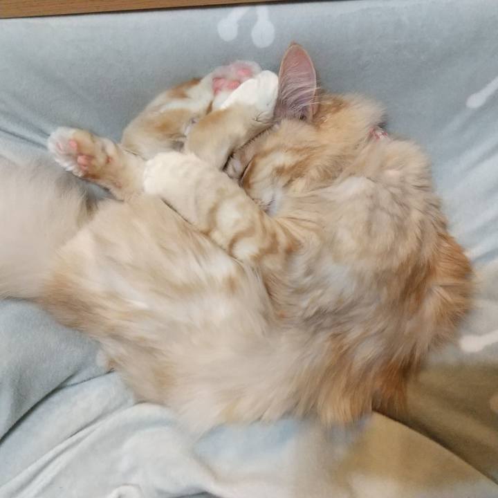 E787496a 266f 4018 88d7 3de4e46b27b0 1641658248348