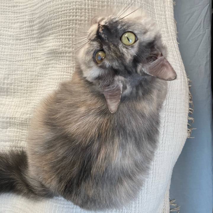 E78761d5 98e9 4432 8f0d 365365949d7b 1774158424781