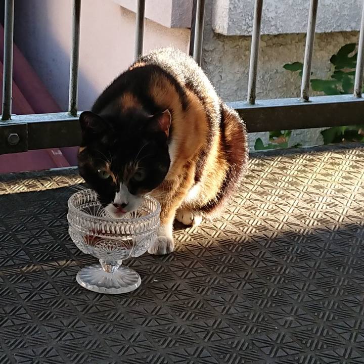 E787f8e6 f551 4d4c b5ed 64bb9ab83a98 1632090740771