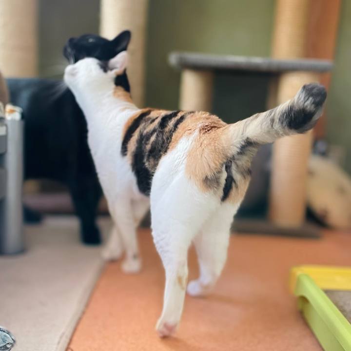 E7883e90 7dd5 42ef 860b 486d43379397 1646016609229