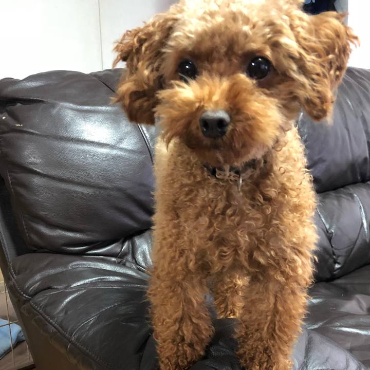 E7889fc9 0dfe 421c 98a1 336ba0bd92c3 1540718545567