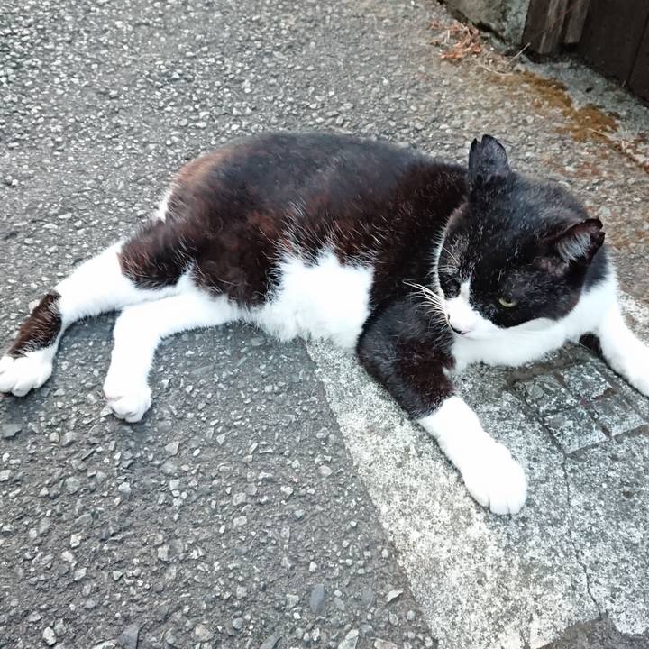 E788d95a 6988 4d08 a40d 41679f0cfeca 1692523451902