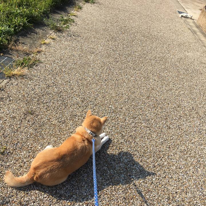 E788da32 b11a 4f7d 93e7 81e8008714e2 1527265290206