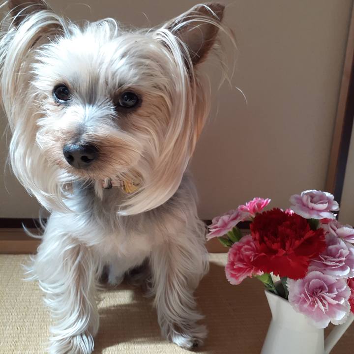 E78922b4 1627 4cd6 a78c d11850827756 1651967116011