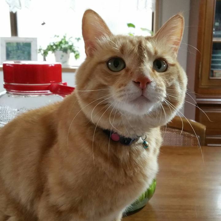 E78928d0 2fcc 4649 9d7e 7c6c7b1a34ae 1530190863402