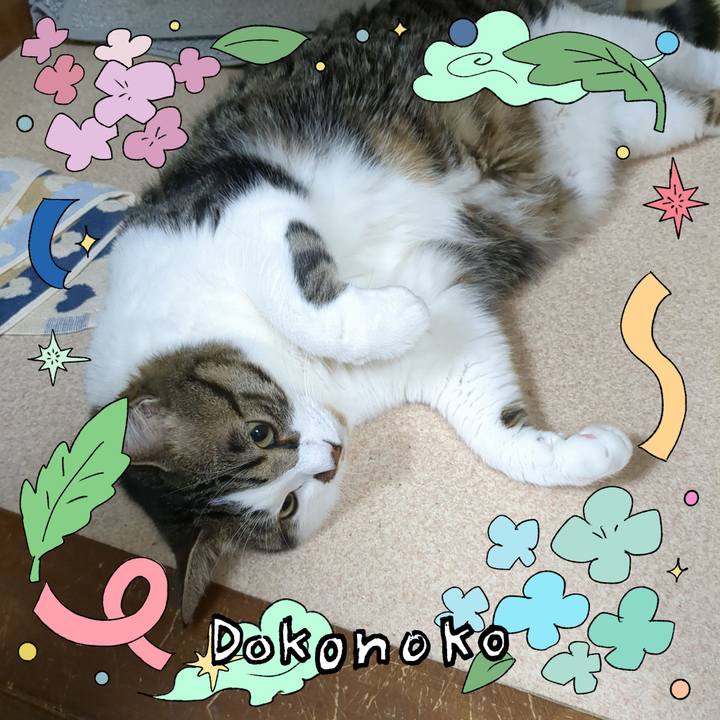 E7893103 9449 4ba7 8357 879774bb9fdf 1718278914357