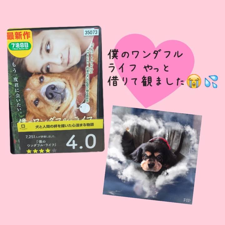 E7894095 a2cf 404a 99af 814cf891cddb 1526659237038