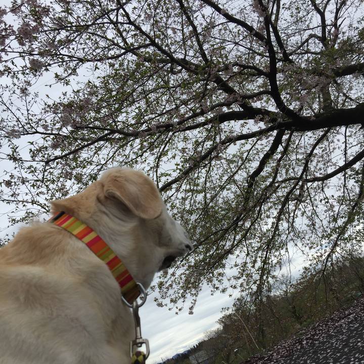 E7896237 c6b1 4e57 8161 175648e8f99d 1524027384381