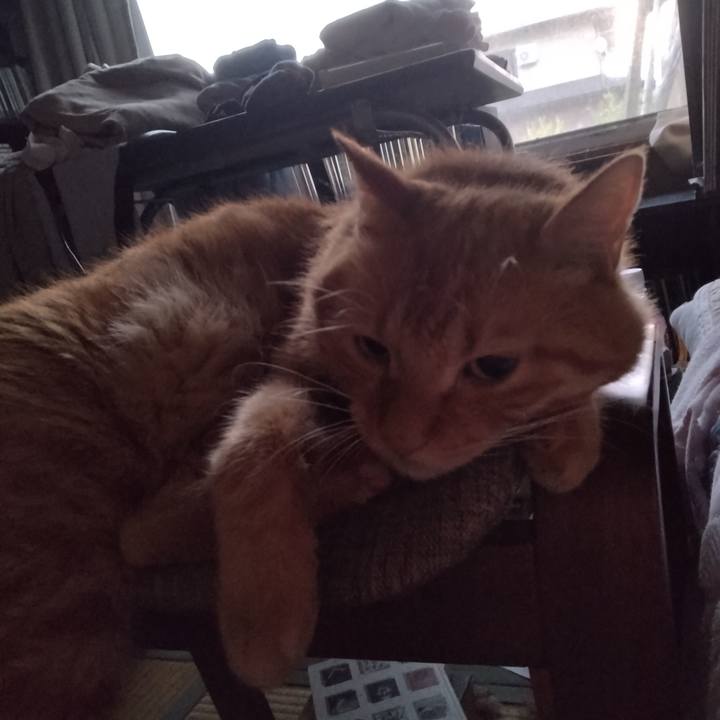 E789685c dff2 43f1 8fb2 8b8e3001dba3 1724191773733