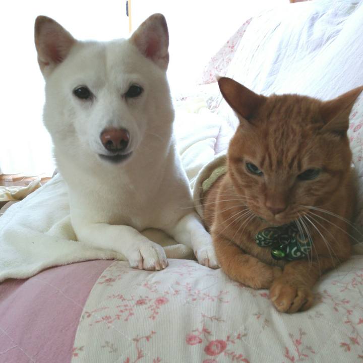 E7897c3e b78f 4344 9957 de598a2f91c5 1551839146481