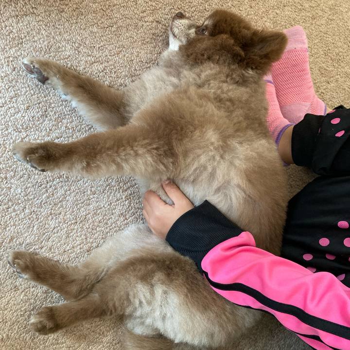 E7898e02 10b4 46f3 b982 e670117c4238 1654556124308