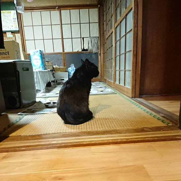 E789906a 7d0e 4c95 8c21 b66776d1386e 1624460450105